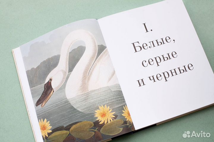 Цвет в природе. Коллекция красок окружающег