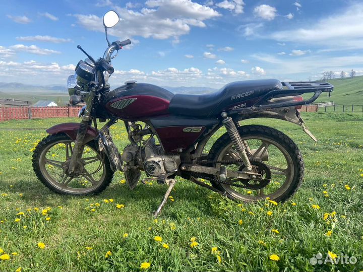 Рейсер альфа