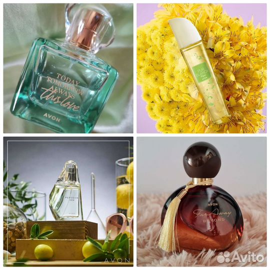 Тудей Tomorrow Always Perceive Пур Бланка
