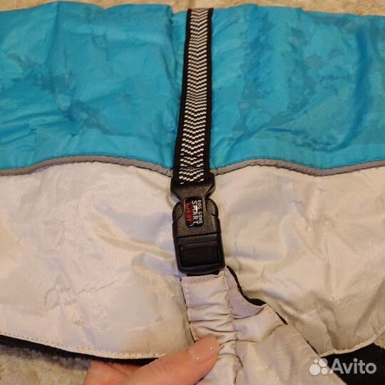 Одежда для средних собак