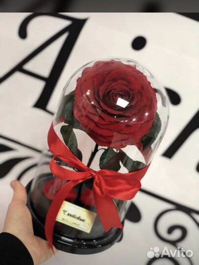 Роза в колбе
