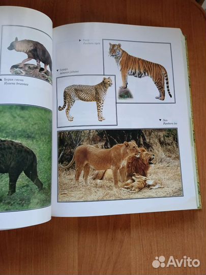 Познавательные книги