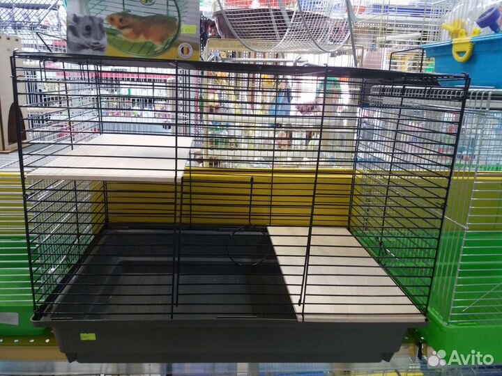 Клетки, хомячки, крысята