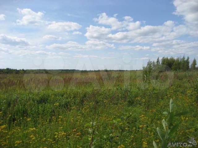 Участок 25 га (СНТ, ДНП)