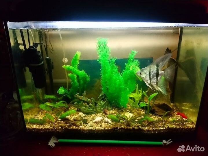 Аквариум 70 л