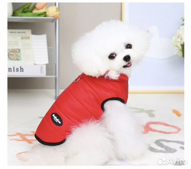 Одежда для средних собак зимняя