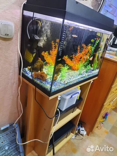 Продам аквариум 90 литров