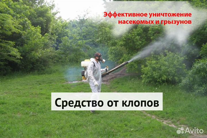 Уничтожение клопов тараканов грызунов блох плесени