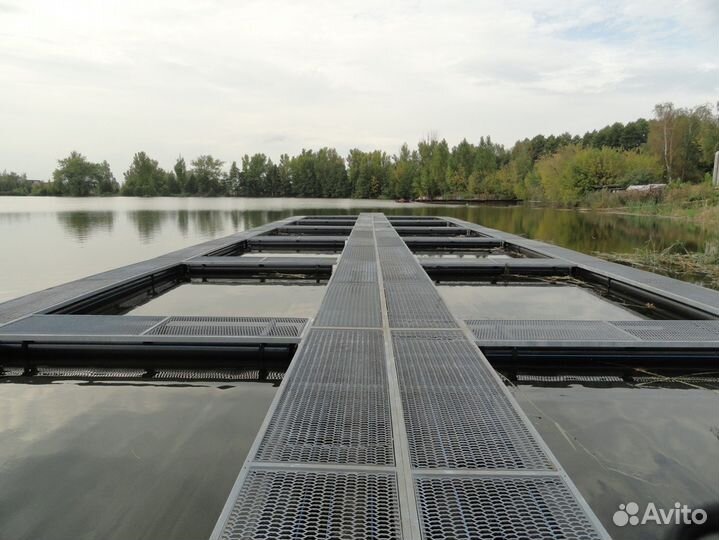 Разведение рыбы. Аквакультура