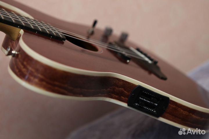 Telecoustic Hollow Body