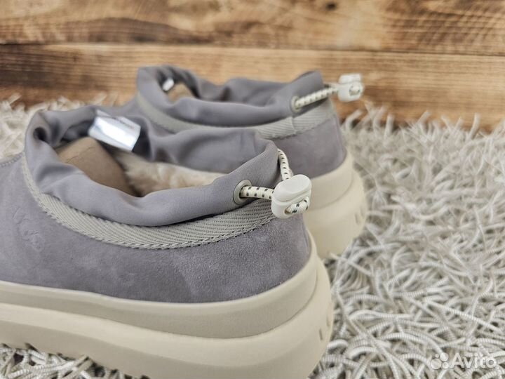 Угги UGG Tasman Hybrid Seal Birch женские оригинал