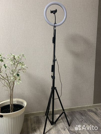 Кольцевая лампа