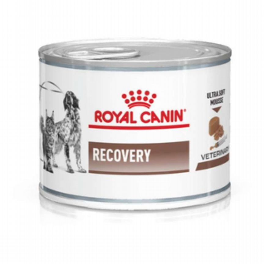 Royal Canin Recovery для кошек и собак