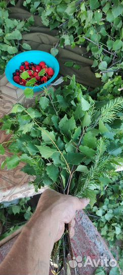 Веники для бани (берёзовые )