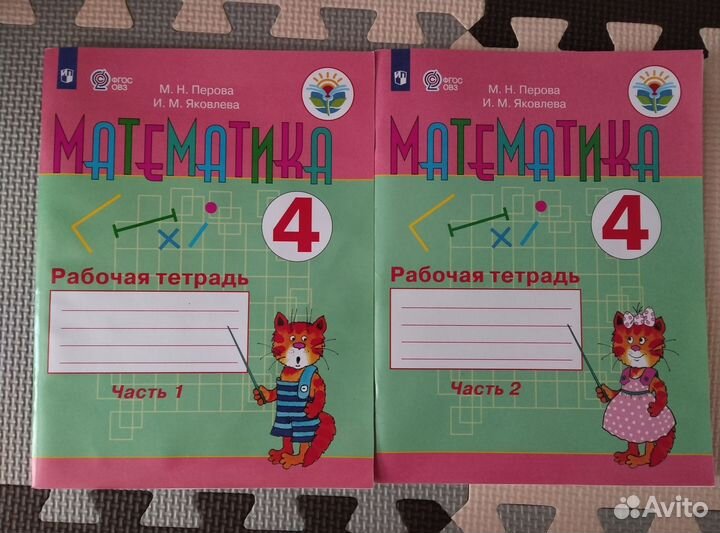 Рабочие тетради для детей с овз 4-5 классы