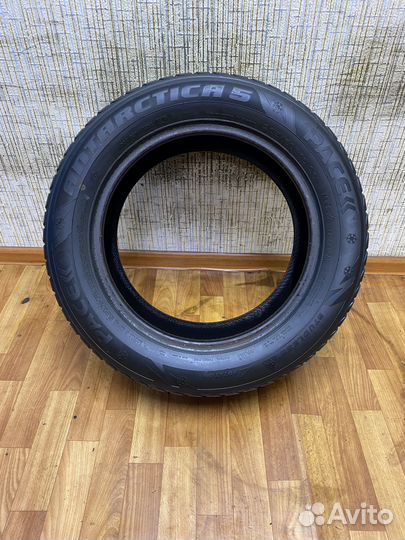 Pace Antarctica 5 205/60 R16