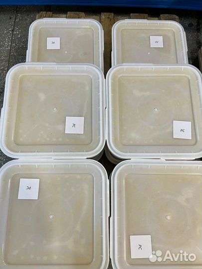 Донниковый свежий натуральный мёд 2023 г. опт