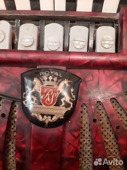 Аккордеон royal standard