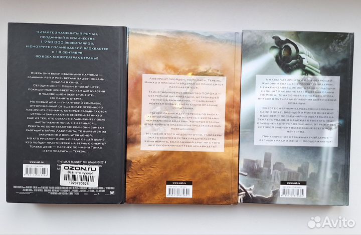 Книга Бегущий в лабиринте