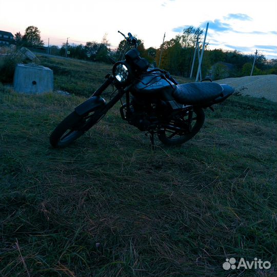 Racer 150 tigr