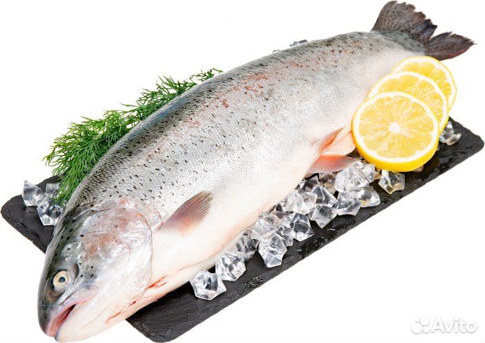 Форель охлаждённая 2023г Карелия