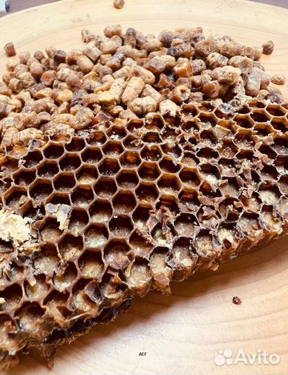 Алтайская перга