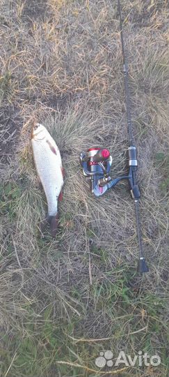 Блесна Калебалка