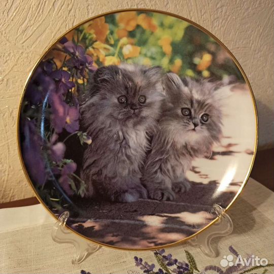 Коллекционные тарелочки с котятами. Стоимость 1400