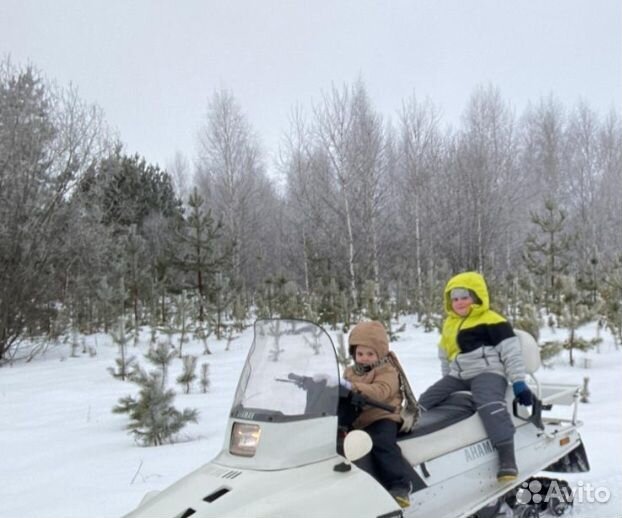 Снегоход надёжный легендарный