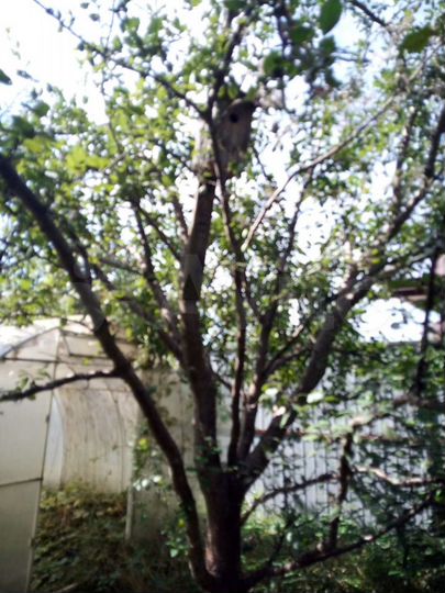 Дача 20 м² на участке 6 сот.