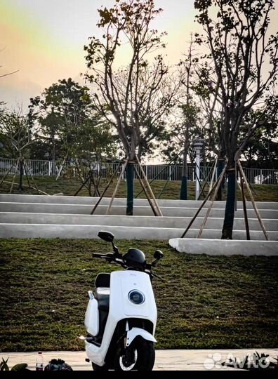 Электроскутер (Электромопед) Xiao NIU N1S