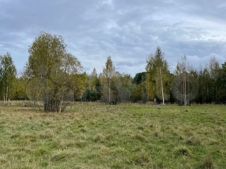 Участок 20 сот. (СНТ, ДНП)