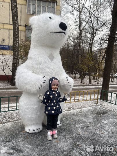 Поздравление от белого мишки