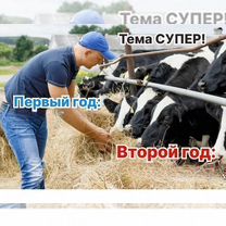 Животноводческое агентство в городе, Вена