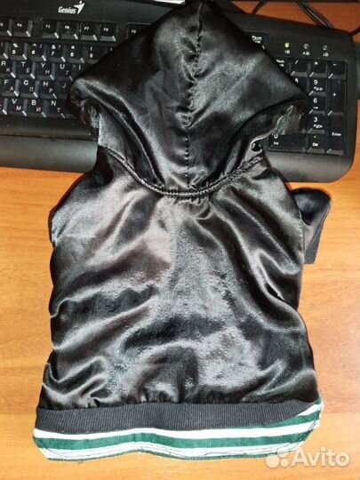 Одежда для собак