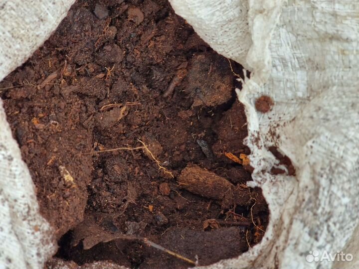 Торф для голубики и гортензий, Кора, хвойный опад