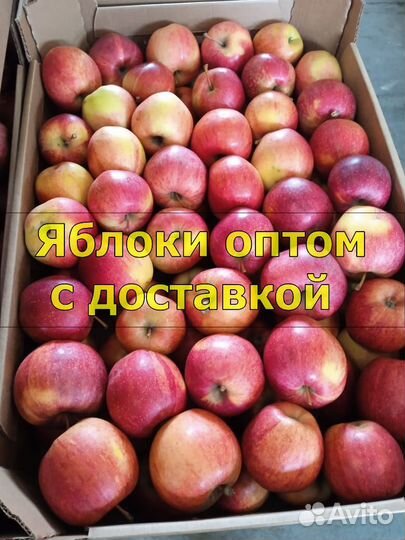 Яблоки оптом с доставкой