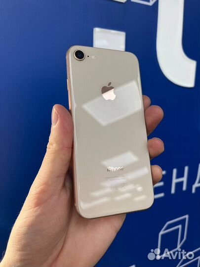 iPhone 8 64GB Gold (TRD) 356396106773874