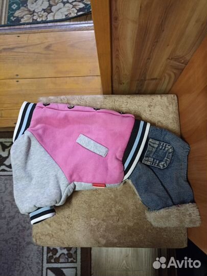 Одежда для собак. Обмен