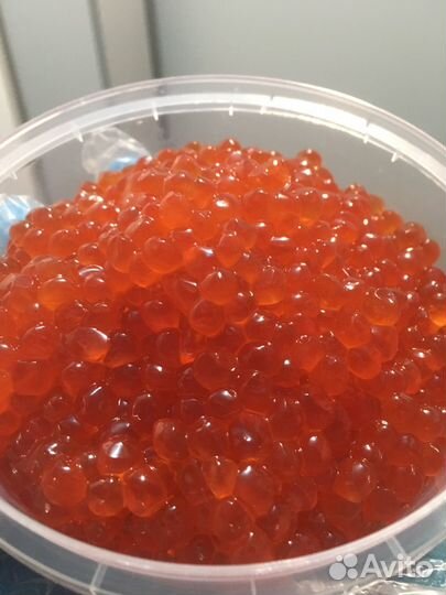 Красная икра форели Карелия 2024год