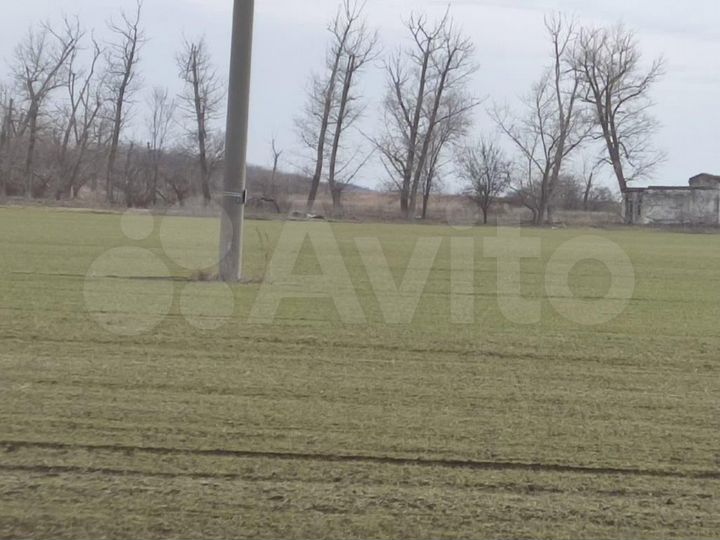 Участок 3,2 га (СНТ, ДНП)