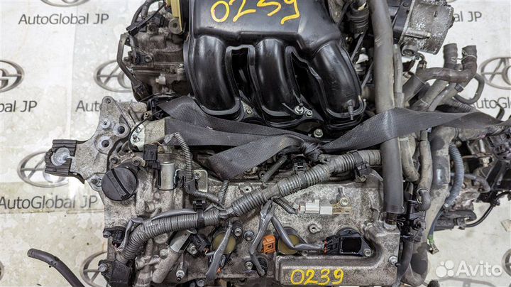 Двигатель Toyota Estima 2GR-FE