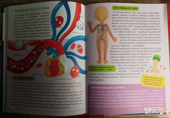 Энциклопедия 