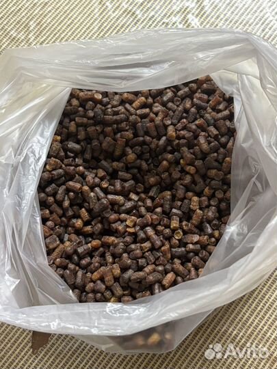 Мёд, перга, прополис