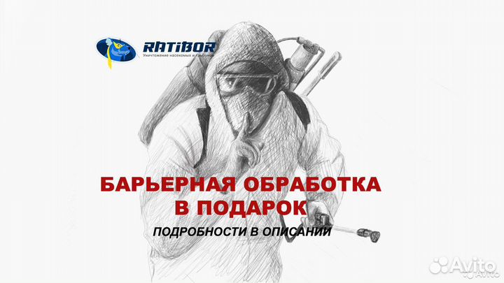 Уничтожение тараканов, клопов, муравьев, блох