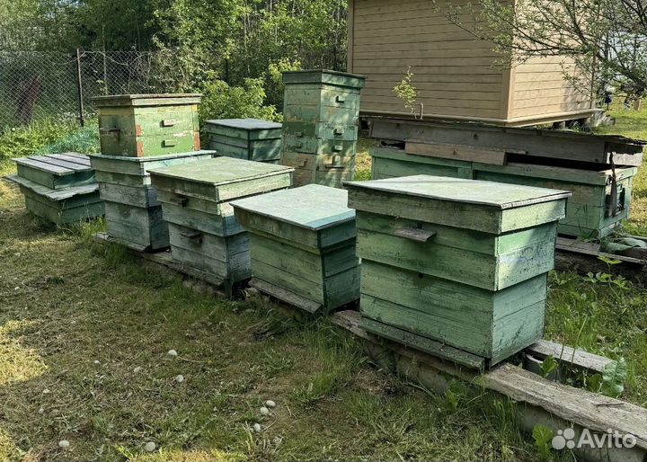Ульи для пчел