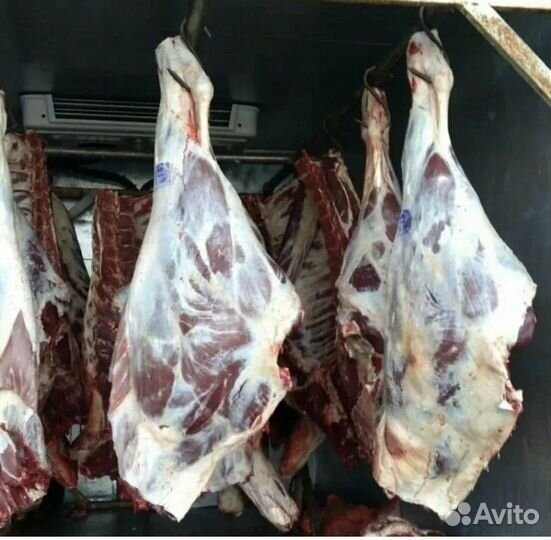 Мясо говядина домашняя