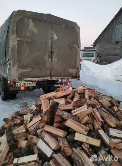 Дрова береза
