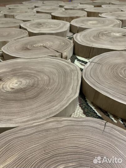 Торцевые спилы кавказского карагача