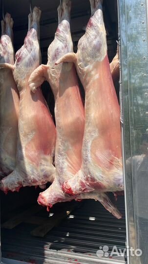 Баранина ребра,шея,ливер,туши оптом